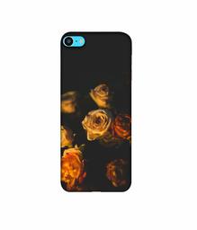 Amazon Brand - Solimo Designer Roses 3D Printed Hard Back Case Mobile Cover for Apple iPod Touch 6th Generation