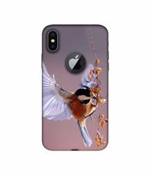 Amazon Brand - Solimo Designer Bird 3D Printed Hard Back Case Mobile Cover for Apple iPhone X (Logo Cut)