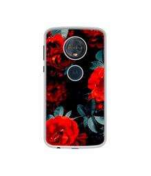 Amazon Brand - Solimo Designer Rose Photography UV Printed Soft Back Case Mobile Cover for Motorola Moto G6 Plus