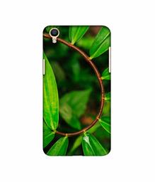 Amazon Brand - Solimo Designer Leaf Photography 3D Printed Hard Back Case Mobile Cover for Oppo F1 Plus