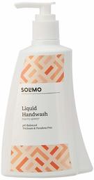 Amazon Brand - Solimo Antibacterial Handwash Liquid - 250 ml