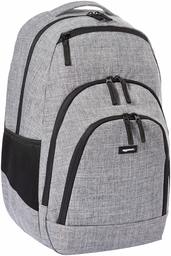 (Renewed) AmazonBasics Campus Backpack, Grey