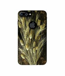 Amazon Brand - Solimo Designer Wheat Plants 3D Printed Hard Back Case Mobile Cover for Apple iPhone 7 Plus (Logo Cut)