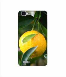 Amazon Brand - Solimo Designer Lemon 3D Printed Hard Back Case Mobile Cover for Vivo Y27L