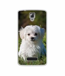 Amazon Brand - Solimo Designer White Dog UV Printed Soft Back Case Mobile Cover for Lenovo A2010