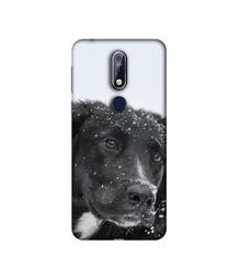 Amazon Brand - Solimo Designer Labrador Dog 3D Printed Hard Back Case Mobile Cover for Nokia 7.1