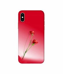 Amazon Brand - Solimo Designer Red Roses 3D Printed Hard Back Case Mobile Cover for Apple iPhone Xs Max