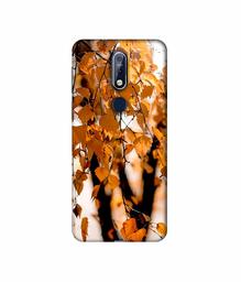 Amazon Brand - Solimo Designer Autumn Photography 3D Printed Hard Back Case Mobile Cover for Nokia 7.1