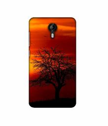 Amazon Brand - Solimo Designer Nature View 3D Printed Hard Back Case Mobile Cover for Micromax Canvas Nitro 4G E455