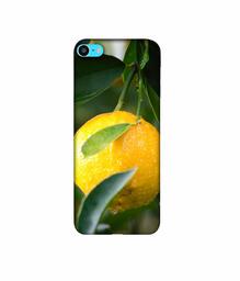 Amazon Brand - Solimo Designer Lemon 3D Printed Hard Back Case Mobile Cover for Apple iPod Touch 6th Generation