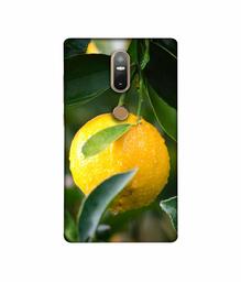 Amazon Brand - Solimo Designer Lemon 3D Printed Hard Back Case Mobile Cover for Lenovo Phab2 Plus