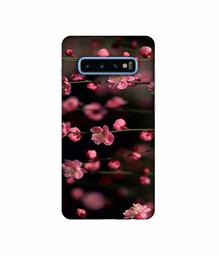 Amazon Brand - Solimo Designer Pink Flowers 3D Printed Hard Back Case Mobile Cover for Samsung Galaxy S10 Plus