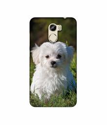 Amazon Brand - Solimo Designer White Dog 3D Printed Hard Back Case Mobile Cover for Gionee X1