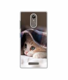 Amazon Brand - Solimo Designer Sleepy Kitten UV Printed Soft Back Case Mobile Cover for Gionee S6s