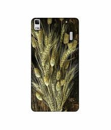 Amazon Brand - Solimo Designer Wheat Plants 3D Printed Hard Back Case Mobile Cover for Lenovo A7000