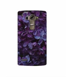 Amazon Brand - Solimo Designer Purple Flowers 3D Printed Hard Back Case Mobile Cover for LG G4 Stylus