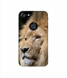 Amazon Brand - Solimo Designer Lion 3D Printed Hard Back Case Mobile Cover for Apple iPhone 7 (with Logo Cut)