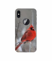 Amazon Brand - Solimo Designer Red Engry Bird 3D Printed Hard Back Case Mobile Cover for Apple iPhone Xs Max (Logo Cut)