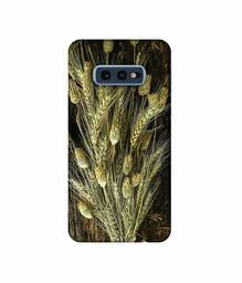 Amazon Brand - Solimo Designer Wheat Plants 3D Printed Hard Back Case Mobile Cover for Samsung Galaxy S10e