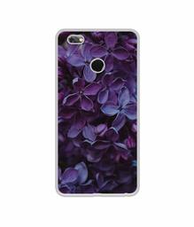 Amazon Brand - Solimo Designer Purple Flowers UV Printed Soft Back Case Mobile Cover for Gionee M7 Power