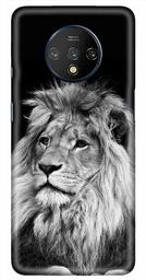 Amazon Brand - Solimo Designer Lion Design 3D Printed Hard Back Case Mobile Cover for OnePlus 7T