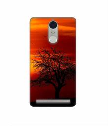 Amazon Brand - Solimo Designer Nature View 3D Printed Hard Back Case Mobile Cover for Lenovo K5 Note