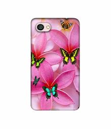 Amazon Brand - Solimo Designer B-Butterflies 3D Printed Hard Back Case Mobile Cover for Xiaomi Redmi Y1 Lite