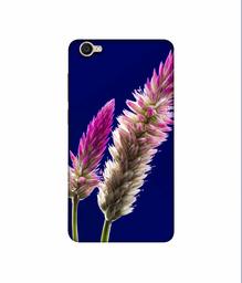 Amazon Brand - Solimo Designer Wheat Flower 3D Printed Hard Back Case Mobile Cover for Vivo Y55L