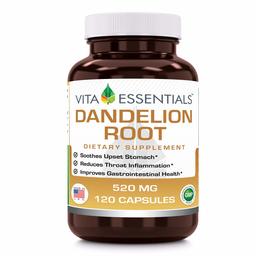 Vita Essentials Dandelion Root Capsules, 520 Mg, 120 Count