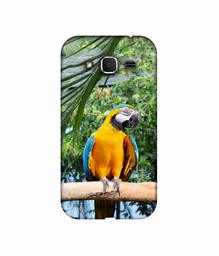 Amazon Brand - Solimo Designer Macaw Bird 3D Printed Hard Back Case Mobile Cover for Samsung Galaxy Core Prime