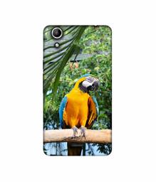 Amazon Brand - Solimo Designer Macaw Bird 3D Printed Hard Back Case Mobile Cover for Micromax Canvas Selfie 2 Q340