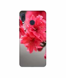 Amazon Brand - Solimo Designer Blossom Like Flower 3D Printed Hard Back Case Mobile Cover for Asus Zenfone Max M1 ZB555KL