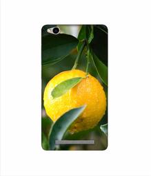 Amazon Brand - Solimo Designer Lemon 3D Printed Hard Back Case Mobile Cover for Xiaomi Redmi 3S