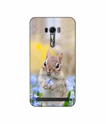 Amazon Brand - Solimo Designer Squirrel 3D Printed Hard Back Case Mobile Cover for Asus Zenfone Selfie ZD551KL