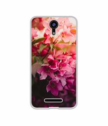 Amazon Brand - Solimo Designer Blossom Weather UV Printed Soft Back Case Mobile Cover for Comio C2