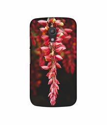 Amazon Brand - Solimo Designer Flowers Photograpy 3D Printed Hard Back Case Mobile Cover for Motorola Moto G 2nd Generation