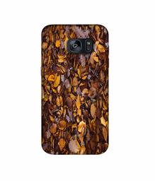 Amazon Brand - Solimo Designer Dry Leafs 3D Printed Hard Back Case Mobile Cover for Samsung Galaxy S7 Edge