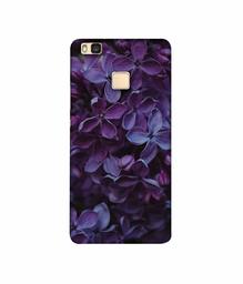 Amazon Brand - Solimo Designer Purple Flowers 3D Printed Hard Back Case Mobile Cover for Huawei P9 lite