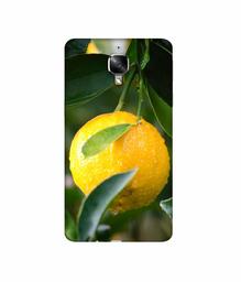 Amazon Brand - Solimo Designer Lemon 3D Printed Hard Back Case Mobile Cover for OnePlus 3 / OnePlus 3T