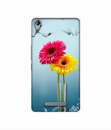 Amazon Brand - Solimo Designer Sun Flower 3D Printed Hard Back Case Mobile Cover for Micromax Canvas Juice 3Plus Q394