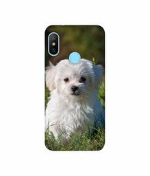 Amazon Brand - Solimo Designer White Dog 3D Printed Hard Back Case Mobile Cover for Xiaomi Redmi Note 6 pro