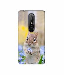 Amazon Brand - Solimo Designer Squirrel 3D Printed Hard Back Case Mobile Cover for Nokia 6.1 Plus