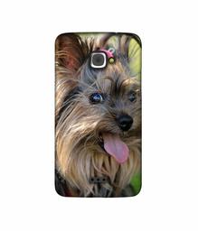 Amazon Brand - Solimo Designer Hairy Puppy 3D Printed Hard Back Case Mobile Cover for InFocus M350