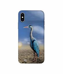 Amazon Brand - Solimo Designer Bagula 3D Printed Hard Back Case Mobile Cover for Apple iPhone Xs Max