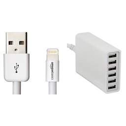 AmazonBasics Apple Certified Lightning to USB Cable - 6 Feet (1.8 Meters) w/ AmazonBasics 60W 6-Port USB Charger - White