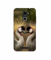 Amazon Brand - Solimo Designer Birds 3D Printed Hard Back Case Mobile Cover for Coolpad Note 3 Lite