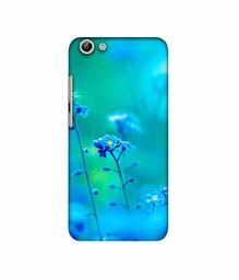 Amazon Brand - Solimo Designer Blue Flower 3D Printed Hard Back Case Mobile Cover for Vivo Y69