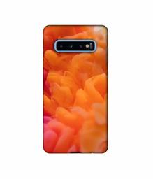 Amazon Brand - Solimo Designer Color Smoke 3D Printed Hard Back Case Mobile Cover for Samsung Galaxy S10 Plus