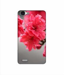 Amazon Brand - Solimo Designer Blossom Like Flower 3D Printed Hard Back Case Mobile Cover for Vivo Y27L