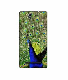 Amazon Brand - Solimo Designer Peacock 3D Printed Hard Back Case Mobile Cover for Sony Xperia C3 Dual